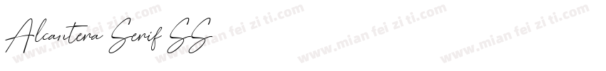 Alcantera Serif SS字体转换